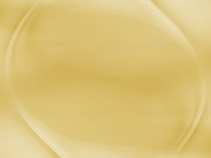技术进阶技巧分享